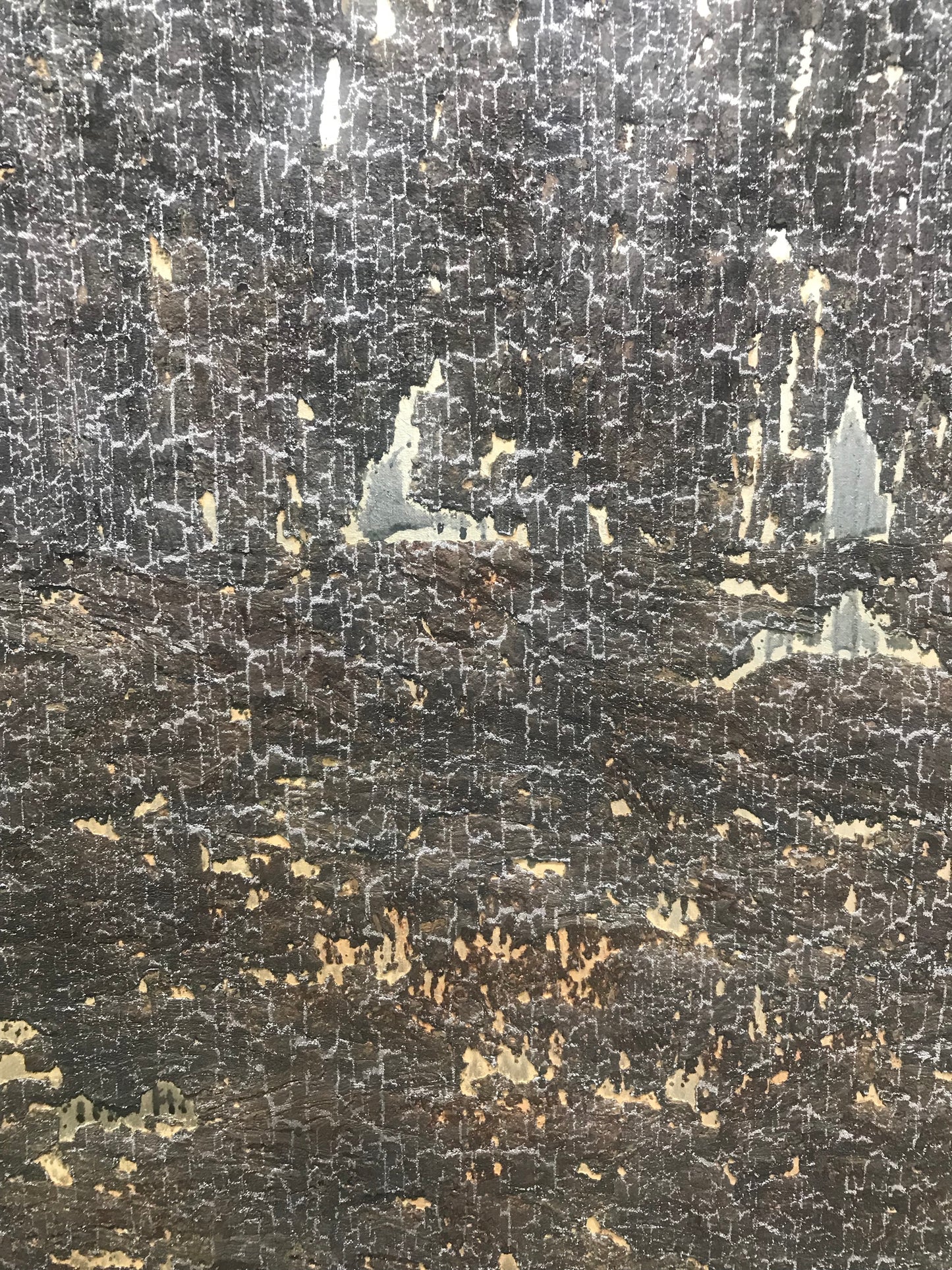 Cork Wallpaper (Black Coral) - C5