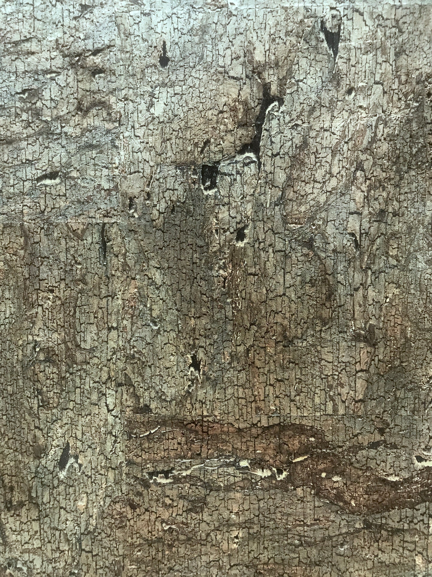 Cork Wallpaper (Seaweed Green) - C6