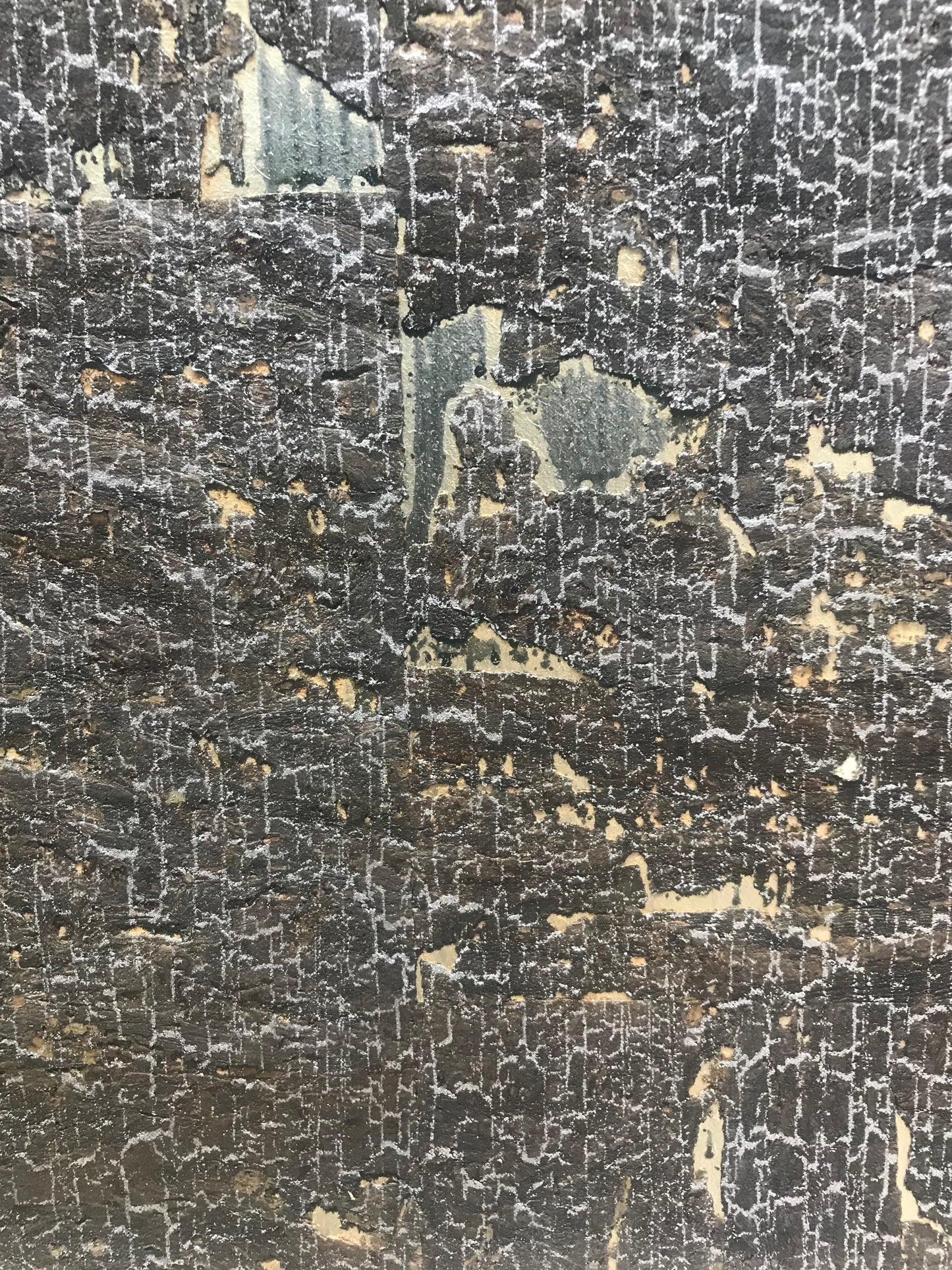 Cork Wallpaper (Black Coral) - C5