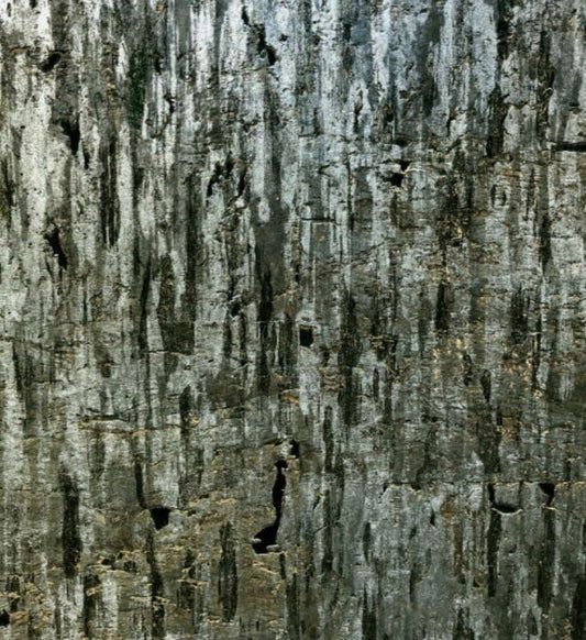 Cork Wallpaper (Eucalyptus Green) - C7