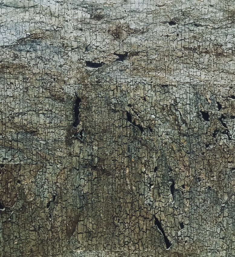Cork Wallpaper (Seaweed Green) - C6