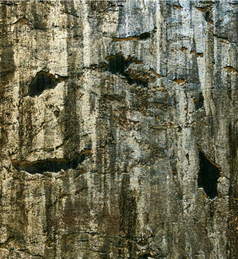 Cork Wallpaper (Eucalyptus Green) - C7